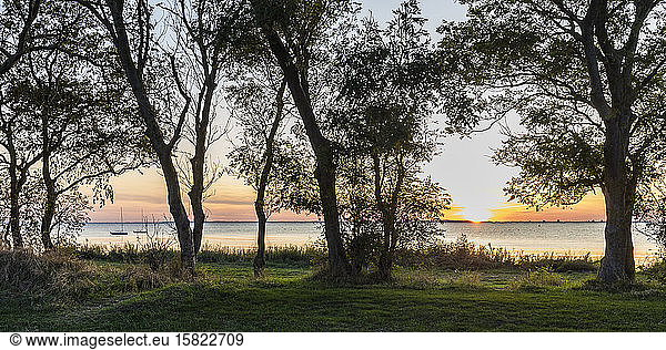 Deutschland  Mecklenburg-Vorpommern  Ostsee  Insel Rügen  Schaprode  Schaproder Bodden Bäume und Meer bei Sonnenuntergang