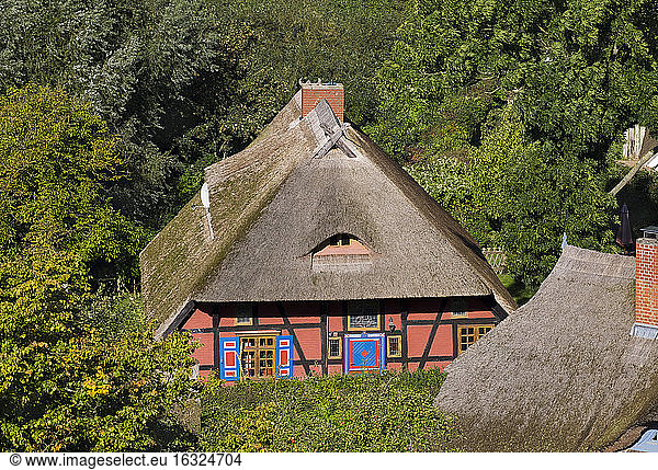 Deutschland  Mecklenburg-Vorpommern  Wustrow  Reetdachhaus