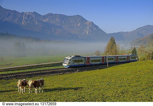 Deutschland  Oberbayern  Bayerische Oberlandbahn bei Aurach