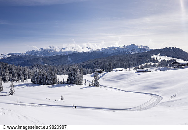 Deutschland  Reit im Winkl  schneebedeckte Winklmoosalm mit Loferer Steinberge und Steinplatte im Hintergrund