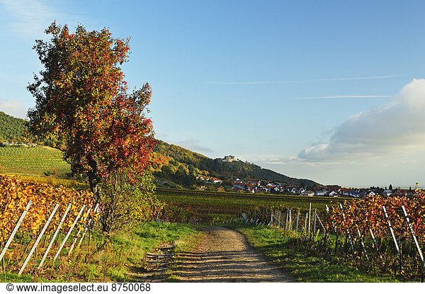 Deutschland Rheinland-Pfalz
