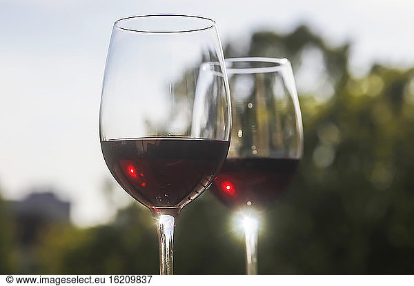 Deutschland  Rotwein im Glas  Nahaufnahme