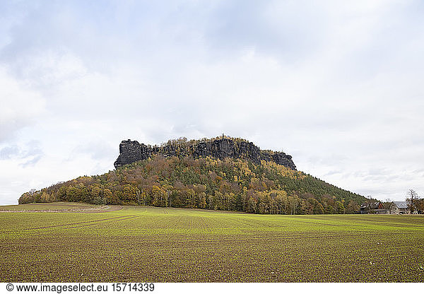 Deutschland  Sachsen  Nationalpark Sächsische Schweiz  Elbsandsteingebirge  Tafelberg  Lilienstein