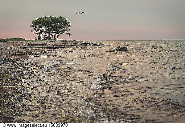 Deutschland  Schleswig-Holstein  Naturschutzgebiet Schleimunde Küste in der Abenddämmerung gesehen