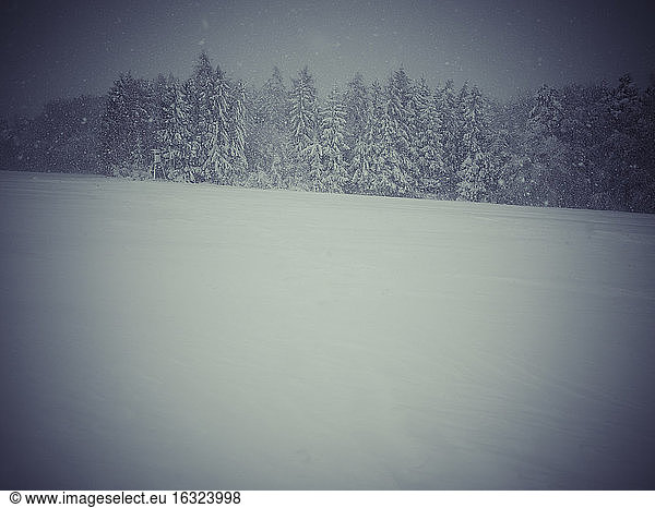 Deutschland  Schwarzwald  Winterlandschaft bei stürmischem Wetter