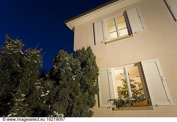 Deutschland  Weihnachtsbaum im Fenster