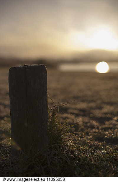 Dew drops on grass and wooden post during sunrise  Renesse  Schouwen-Duiveland  Zeeland  Netherlands