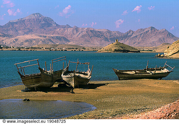 Dhau boats in Sur