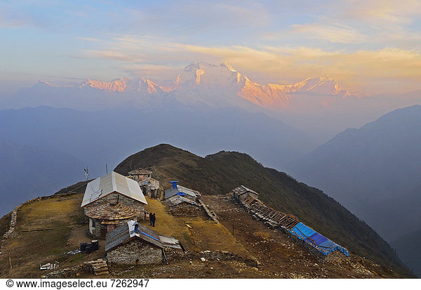 Dhaulagiri Himal seen from Khopra  Annapurna Conservation Area  Dhawalagiri (Dhaulagiri)  Western Region (Pashchimanchal)  Nepal  Himalayas  Asia
