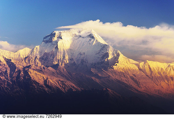Dhaulagiri Himal seen from Khopra  Annapurna Conservation Area  Dhawalagiri (Dhaulagiri)  Western Region (Pashchimanchal)  Nepal  Himalayas  Asia