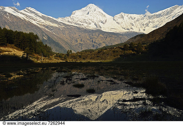 Dhaulagiri Himal seen from Titi  Annapurna Conservation Area  Dhawalagiri (Dhaulagiri)  Western Region (Pashchimanchal)  Nepal  Himalayas  Asia