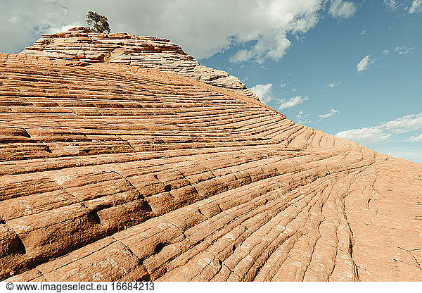 diagonale Linien aus rotem Gestein in versteinerten Sanddünen im Süden Utahs