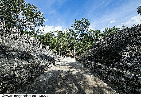 Die archäologische Maya-Stätte Coba  Quintana Roo  Mexiko  Mittelamerika