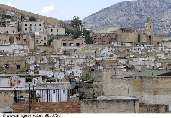 Die Dächer der Altstadt von Fes  Marokko  Afrika
