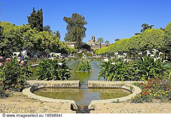 Die Gärten des Alcazar der Katholischen Könige  Cordoba  Andalusien  Spanien  Europa