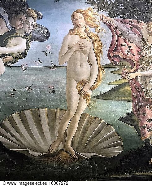 Die Geburt der Venus von Allesandro Filipepi  detto Botticelli 1445 - 1510. Tempera auf Leinwand. Die Uffizien sind ein bedeutendes Kunstmuseum in der Nähe der Piazza della Signoria im historischen Zentrum von Florenz in der Toskana  Italien. Foto: Andr? Maslennikov.