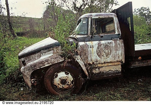 Die Gesamtstruktur begann auf dieser gebrochenen alten Lastwagen auf der Insel Yap wachsen.