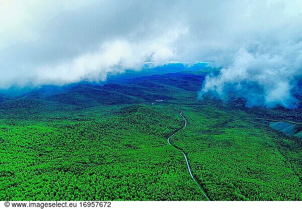 Die größeren Hinggan-Berge Morgennebel Urwald schwach wahrnehmbar