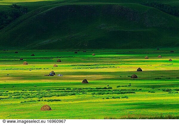 Die grünen Weiden der Hulunbuir-Prärie