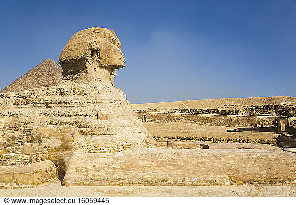 Die Große Sphinx von Gizeh UNESCO-Weltkulturerbe; Gizeh Ägypten
