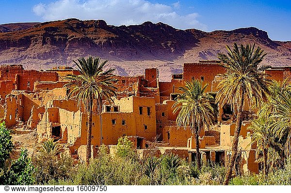 Die Grube von Tineghir im Todra-Tal  Marokko  Nordafrika.