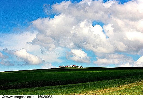 Die Hulunbuir-Prärie in der Inneren Mongolei