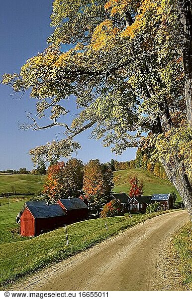 Die Jenny Farm zur Herbstzeit - Redding  Vermont.