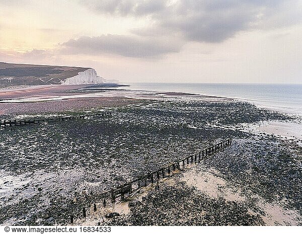 Die Kreidefelsen der Seven Sisters  South Downs National Park  East Sussex  England