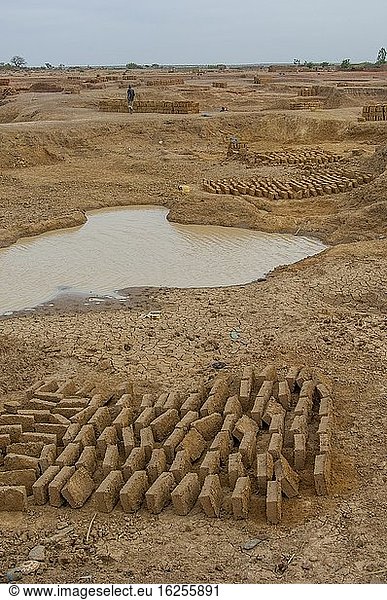 Die Lehmziegelproduktion im Bandiagara-Gebiet in Mali  Westafrika: Nachdem die Ziegelformen entfernt wurden  trocknen die Ziegel an der Luft.