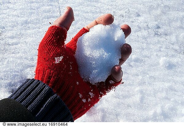 Die linke Hand eines Mannes hält einen runden Schneeball  den er auf seine Freunde im Winter-Neujahr wirft.