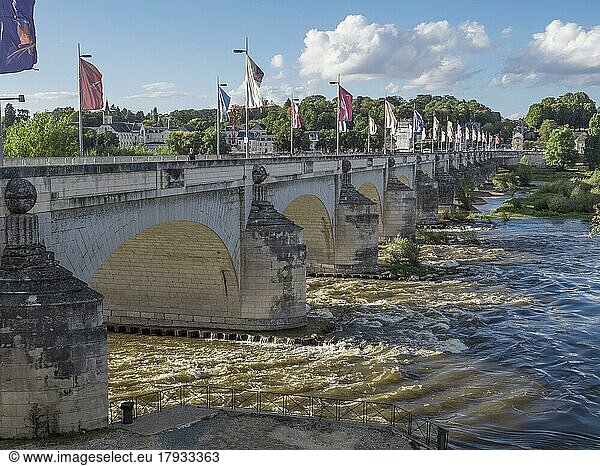 Die älteste Brücke Pont Wilson über die Loire in der Stadt Tours  Tours  Département Inde-et-Loire  Région Centre  Frankreich  Europa