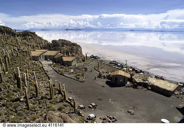 Die mit Kakteen (Trichocereus pasacana bzw. Echinopsis atacamensis) bestandene Isla del Pescado in der Salzwüste von Uyuni,  Bolivien