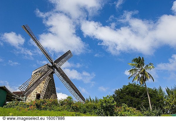 Die Morgan Lewis Sugar Mill im Landesinneren von Barbados  einer Insel in der Karibik.