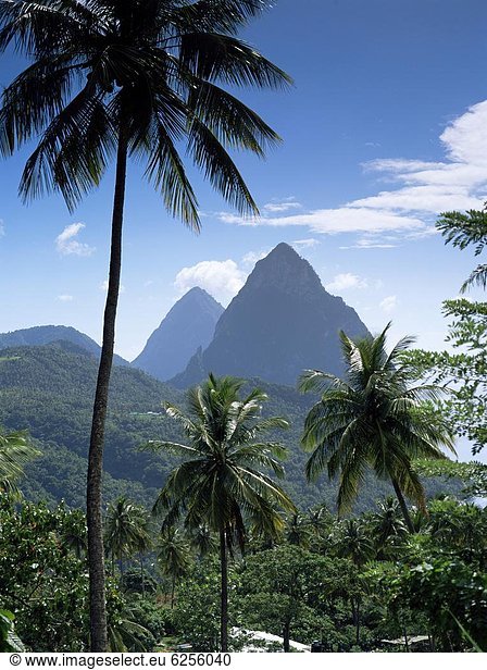 Die Pitons St. Lucia Luv Inseln Westindische Inseln Karibik Mittelamerika