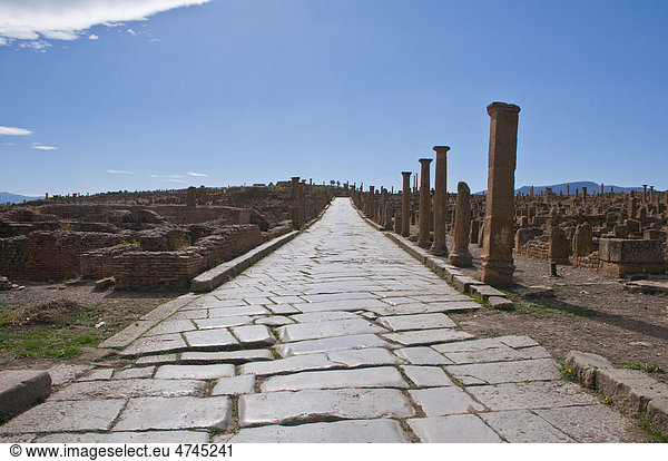 Die römischen Ruinen von Timgad,  Unesco Weltkulturerbe,  Algerien,  Afrika