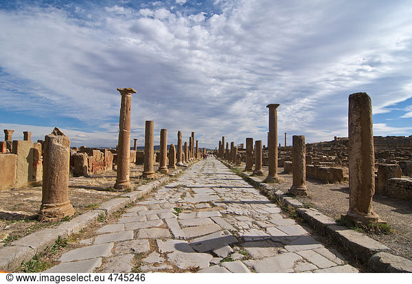 Die römischen Ruinen von Timgad  Unesco Weltkulturerbe  Algerien  Afrika