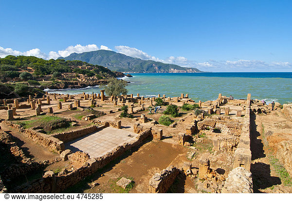 Die römischen Ruinen von Tipasa  Unesco Weltkulturerbe  Algerien  Afrika