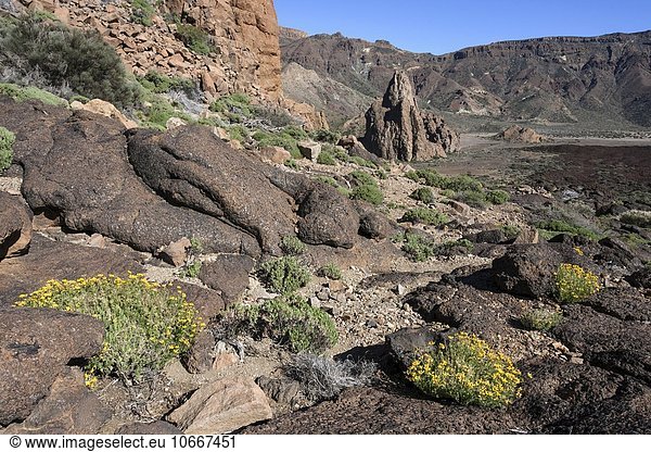 Die Roques de Garcia Vulkanlandschaft hinten rechts der Felsen La Catedral und die Hochebene Llano de Uruanca Teide-Nationalpark UNESCO Weltnaturerbe Teneriffa Spanien Europa