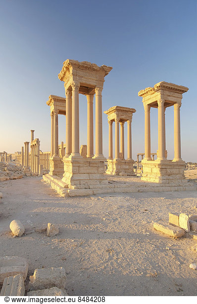Die Ruinen der antiken Stadt Palmyra im Morgenlicht  UNESCO-Weltkulturerbe  Palmyra  Distrikt Palmyra  Gouvernement Homs  Syrien
