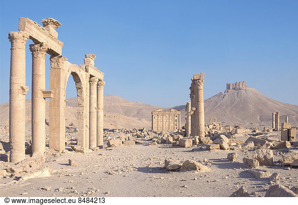 Die Ruinen der antiken Stadt Palmyra im Morgenlicht  UNESCO-Weltkulturerbe  Palmyra  Distrikt Palmyra  Gouvernement Homs  Syrien