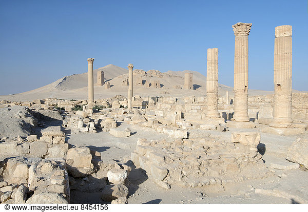 Die Ruinen der antiken Stadt Palmyra  Palmyra-Bezirk  Gouvernement Homs  Syrien