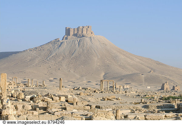 Die Ruinen der antiken Stadt Palmyra vor einer mittelalterlichen Festung  Qal?at Ibn Ma?n  Palmyra  Distrikt Palmyra  Gouvernement Homs  Syrien