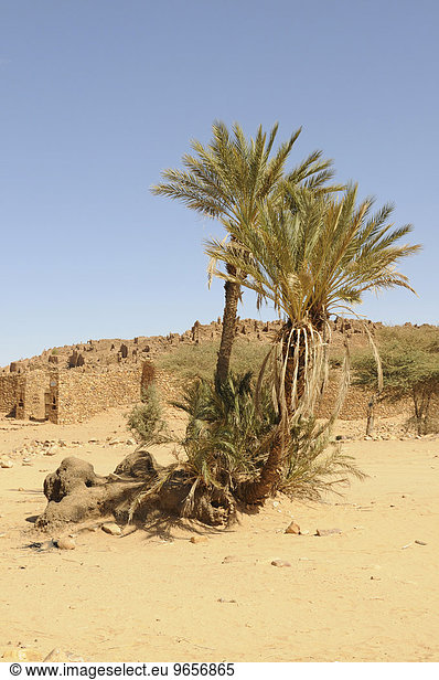 Die Ruinen von Ouadane  UNESCO-Weltkulturerbe  Mauretanien  nordwestliches Afrika  Afrika