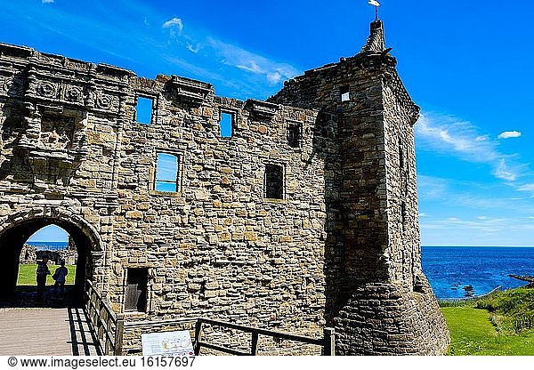 Die Ruinen von St Andrews Castle  St Andrews  Fife  Schottland.
