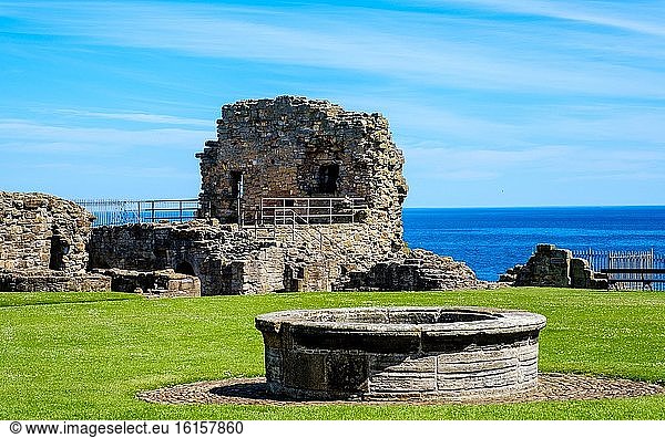 Die Ruinen von St Andrews Castle  St Andrews  Fife  Schottland.