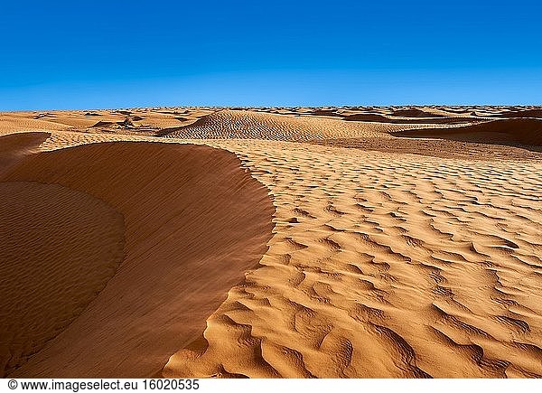 Die Sanddünen der Wüste Sahara von Erg Oriental in der Nähe der Oase Ksar Ghilane  Tunesien  Afrika.