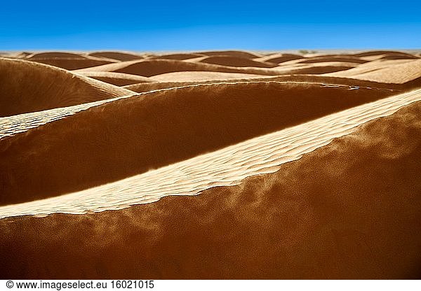 Die Sanddünen der Wüste Sahara von Erg Oriental in der Nähe der Oase Ksar Ghilane  Tunesien  Afrika.