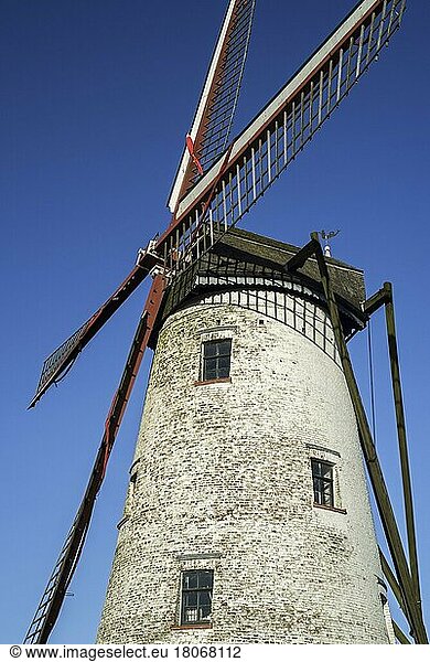Die Schellemolen  Schelle-Mühle  traditionelle Windmühle entlang des Kanals Damse Vaart bei Damme  Westflandern  Belgien  Europa