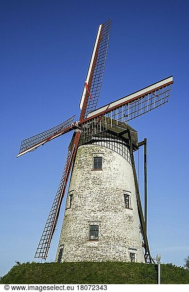 Die Schellemolen  Schelle-Mühle  traditionelle Windmühle entlang des Kanals Damse Vaart bei Damme  Westflandern  Belgien  Europa