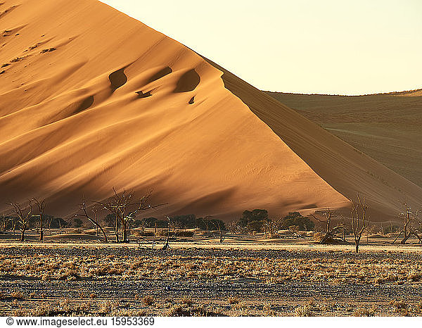 Die Sonne trifft auf den Sand einer Düne  Sossusvlei  Namibia